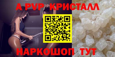 ECSTASY Гатчина