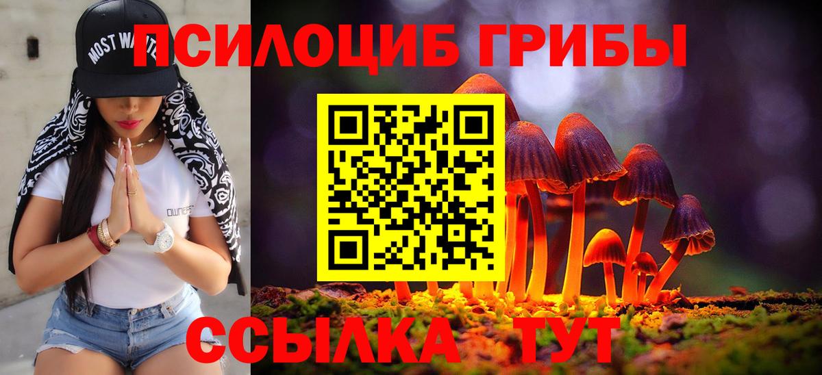Галлюциногенные грибы прущие грибы Нижний Тагил